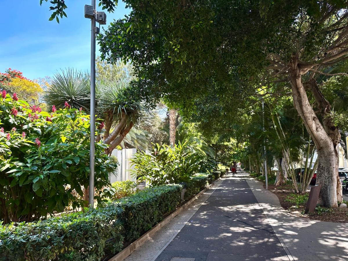Centrico Y Moderno Junto Al Parque Apartamento Santa Cruz de Tenerife Exterior foto